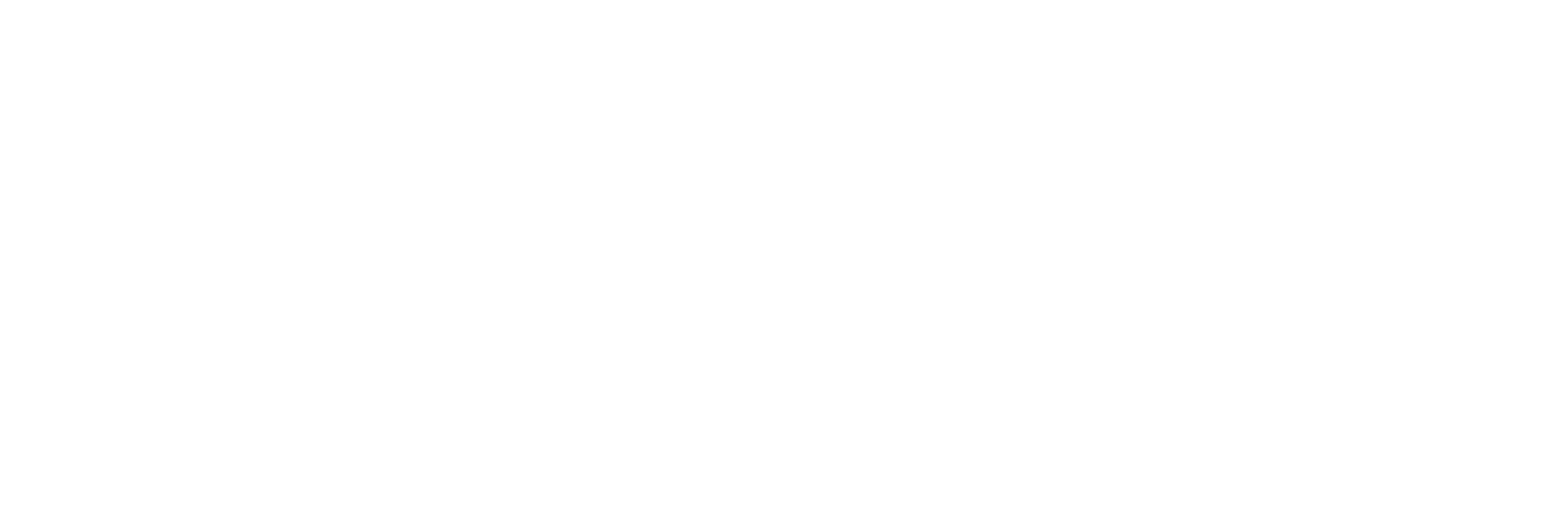 Nueva Narrativa